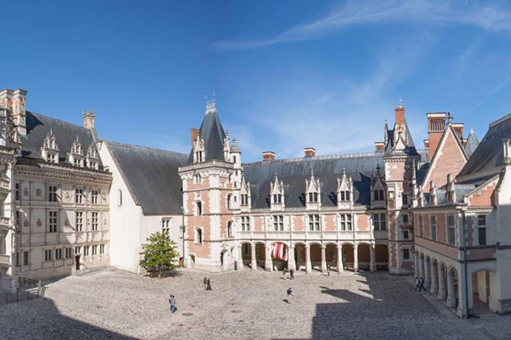 Gite Troglodyte Les Iris Villiers-sur-Loir Exterior photo