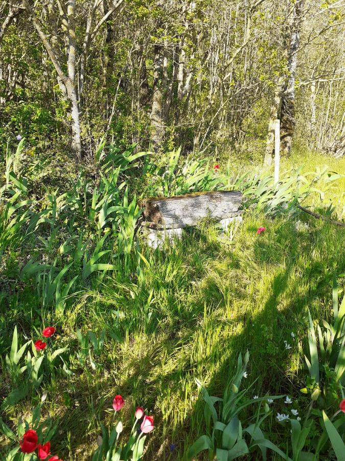 Gite Troglodyte Les Iris Villiers-sur-Loir Exterior photo